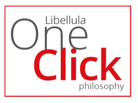 Libellula One Click Philosophy